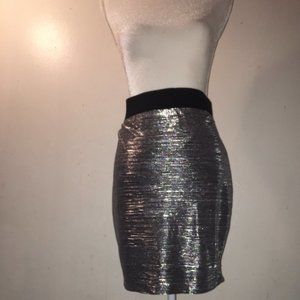 Forver 21+ Silver Skirt